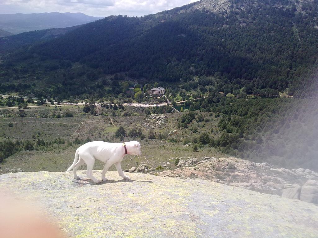 Hotel Rural Las Postas Navacerrada Ngoại thất bức ảnh